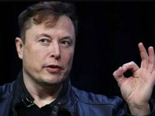 إيلون ماسك