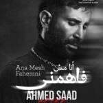 أحمد سعد