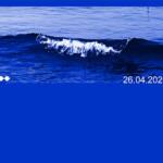 مهرجان قابس سينما فن